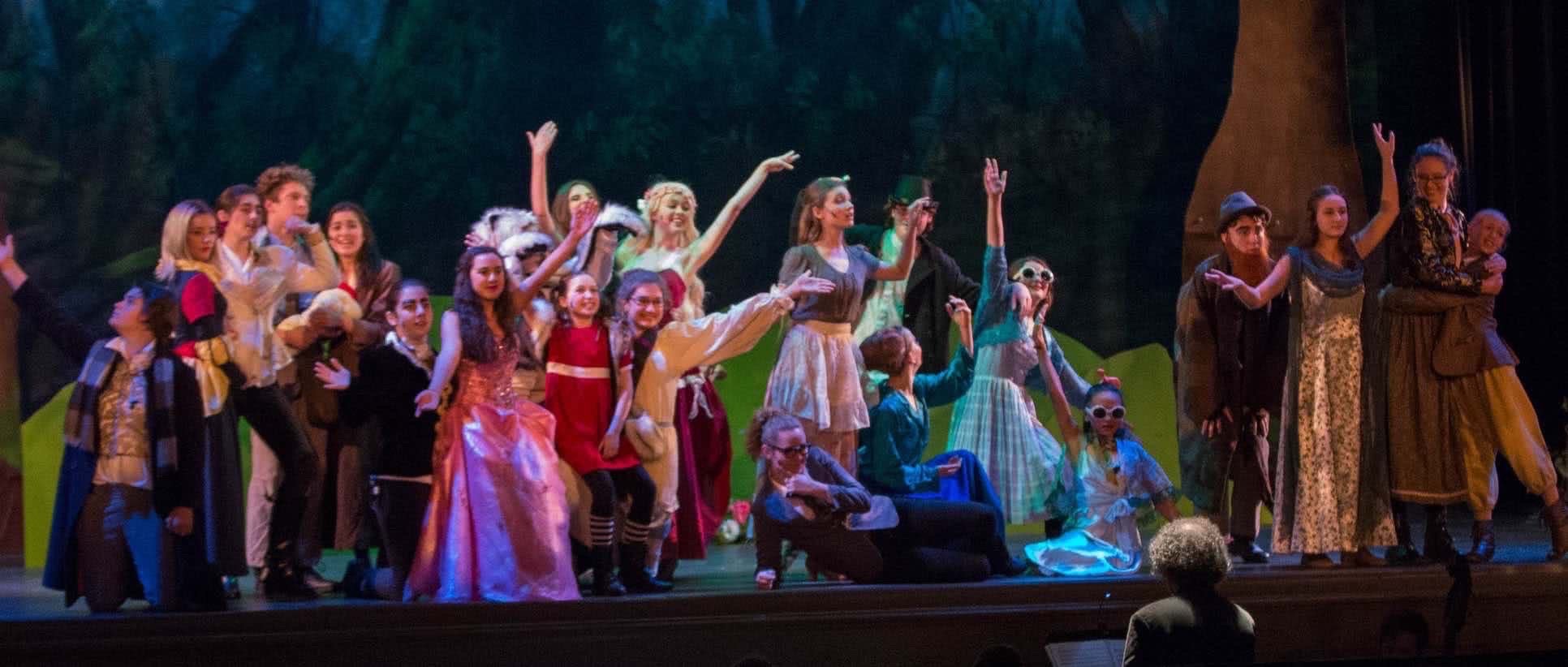 Tomorrow Youth Rep Banner image, from Into the Woods, 2016